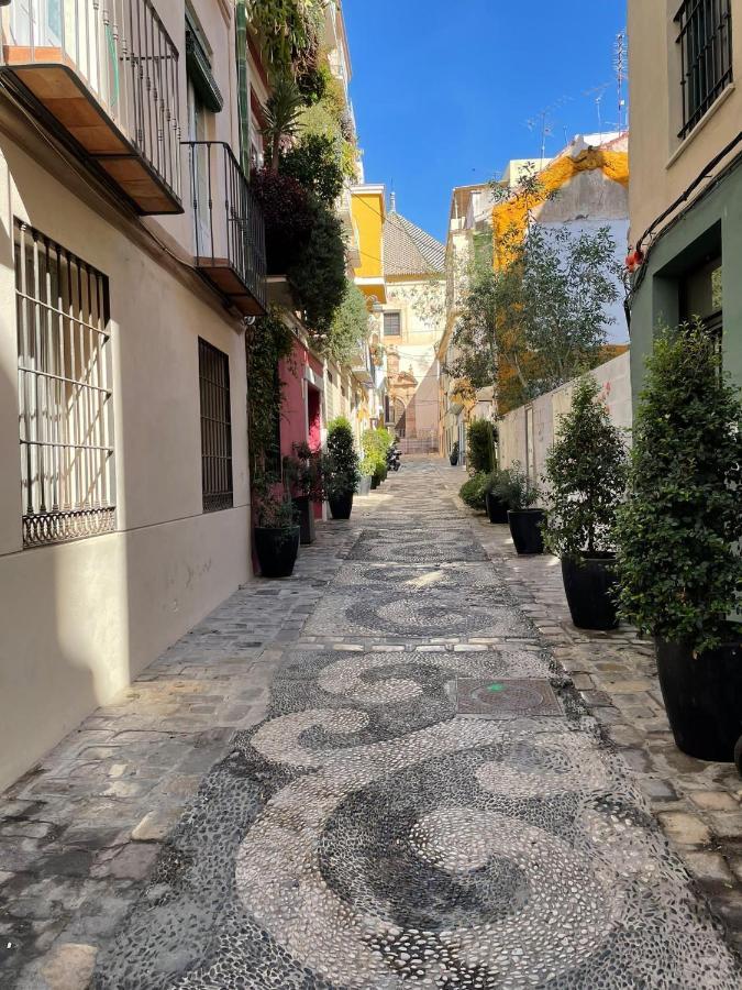 Paloma Suite Solarium Centro Historico Μάλαγα Εξωτερικό φωτογραφία