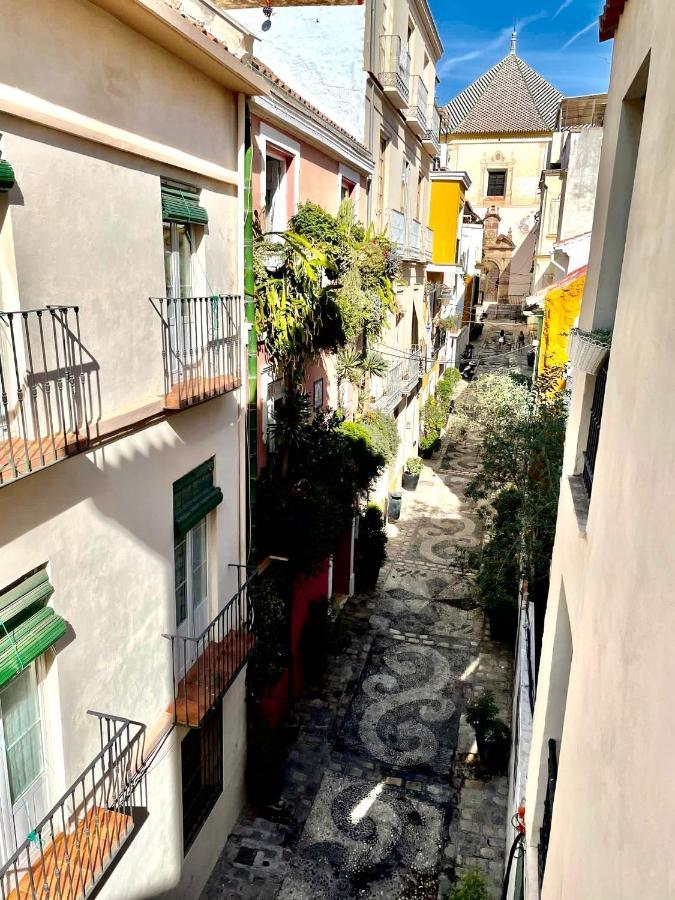 Paloma Suite Solarium Centro Historico Μάλαγα Εξωτερικό φωτογραφία